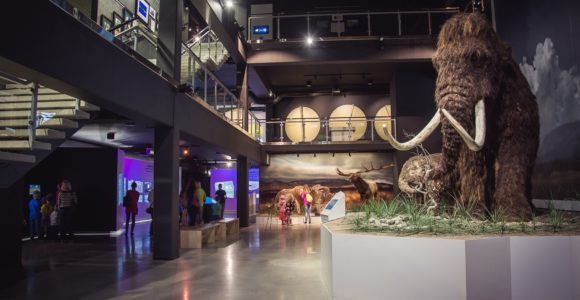 Mammoth at the Ice Age Centre