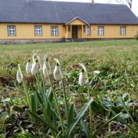 sdr Palamuse muuseum